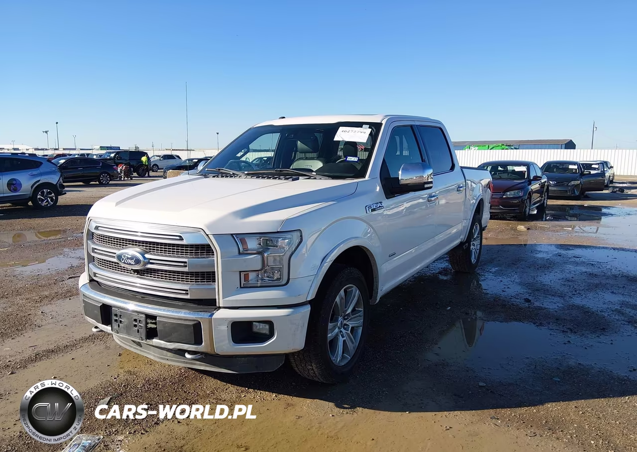 2015 Ford F-150 Platinum VIN:1FTEW1EG1FFB23182 - 2
