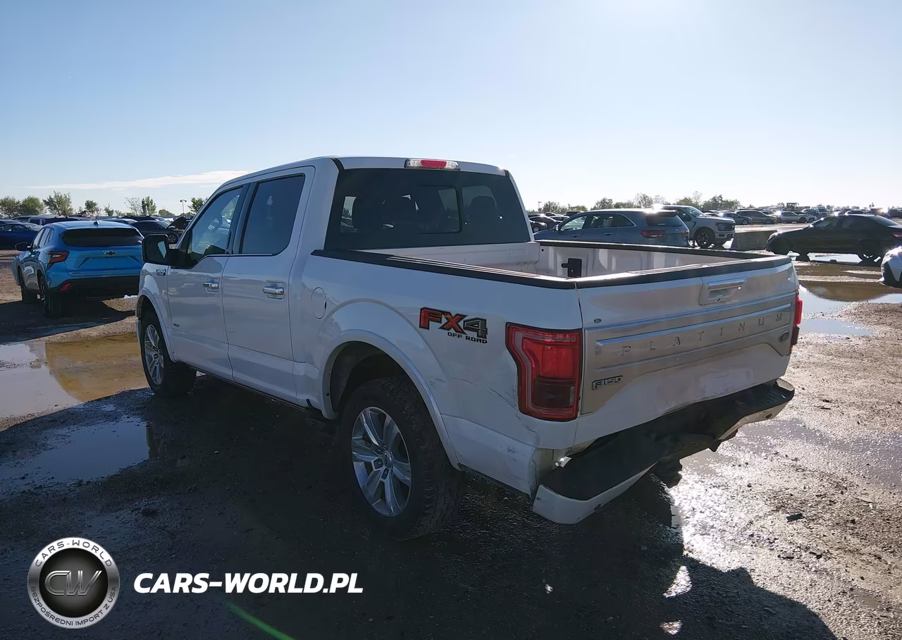 2015 Ford F-150 Platinum VIN:1FTEW1EG1FFB23182 - 3