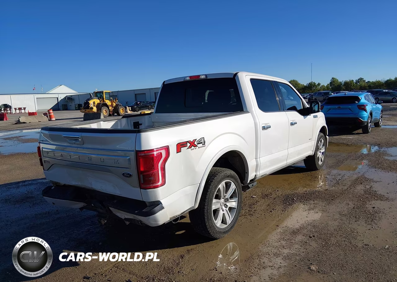 2015 Ford F-150 Platinum VIN:1FTEW1EG1FFB23182 - 4
