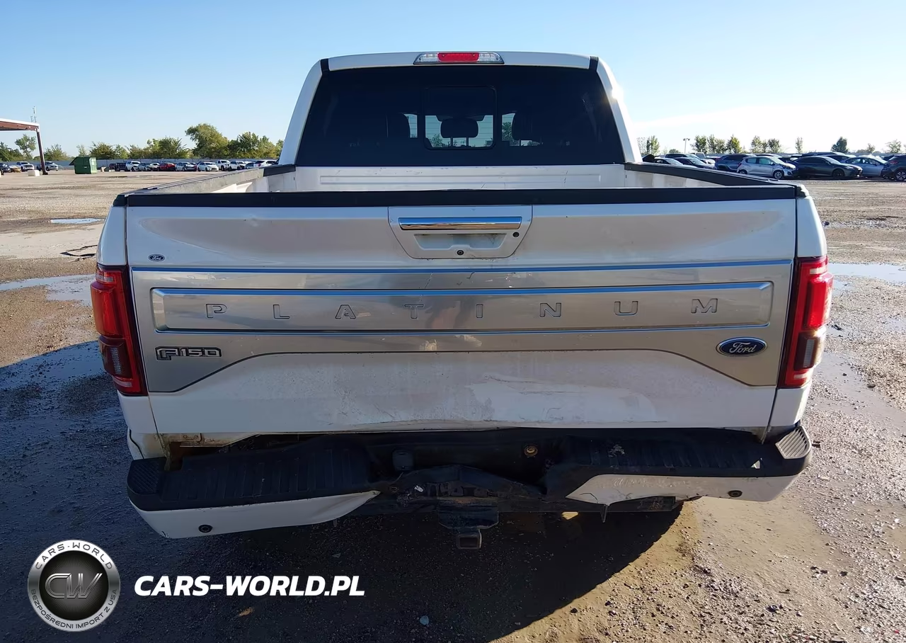2015 Ford F-150 Platinum VIN:1FTEW1EG1FFB23182 - 6