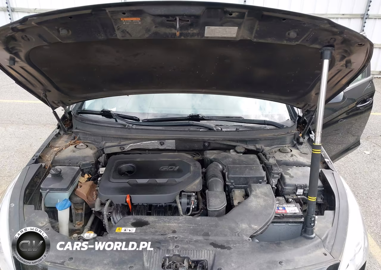 2015 Hyundai Sonata Se VIN:5NPE24AF1FH121531 - 10