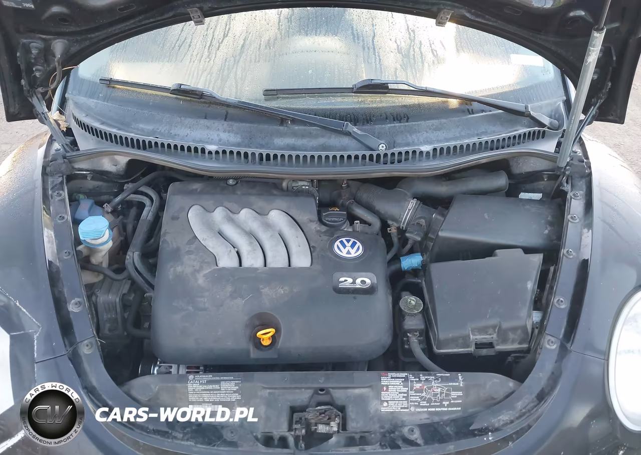 2003 Volkswagen New Beetle Gl VIN:3VWBK21C13M431016 - 10