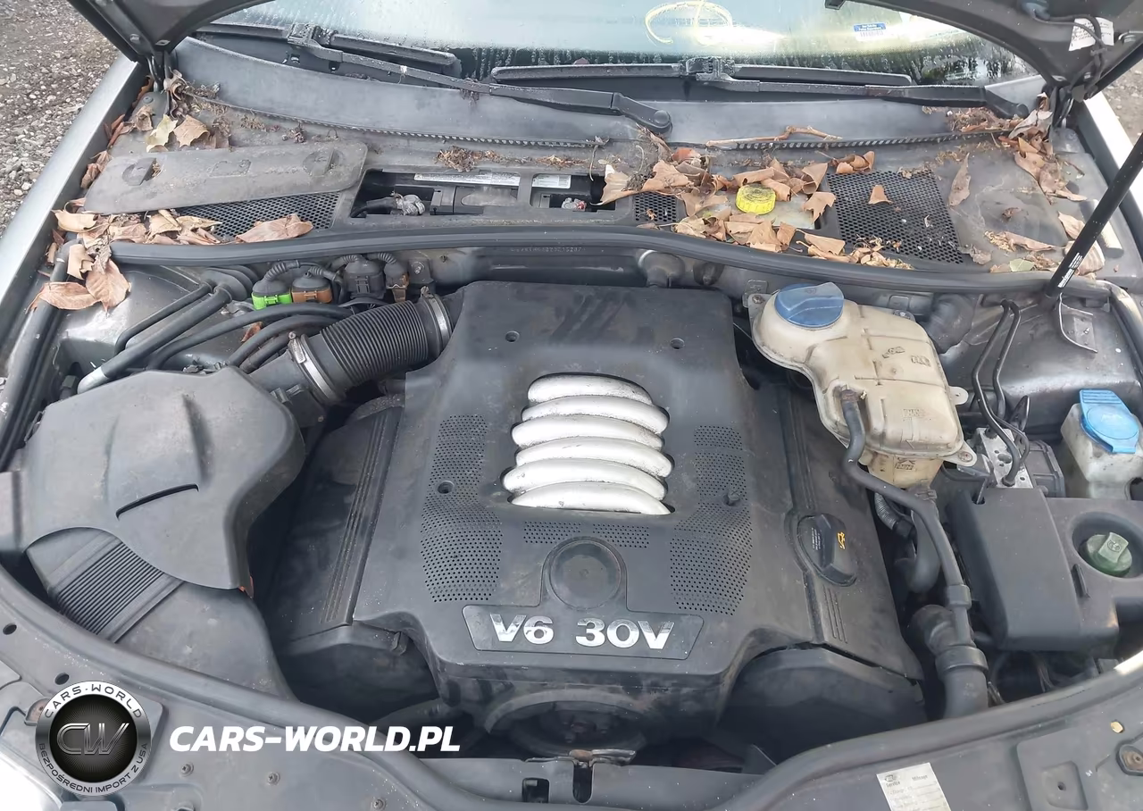 2003 Volkswagen Passat Glx VIN:WVWYH63B23E152879 - 10