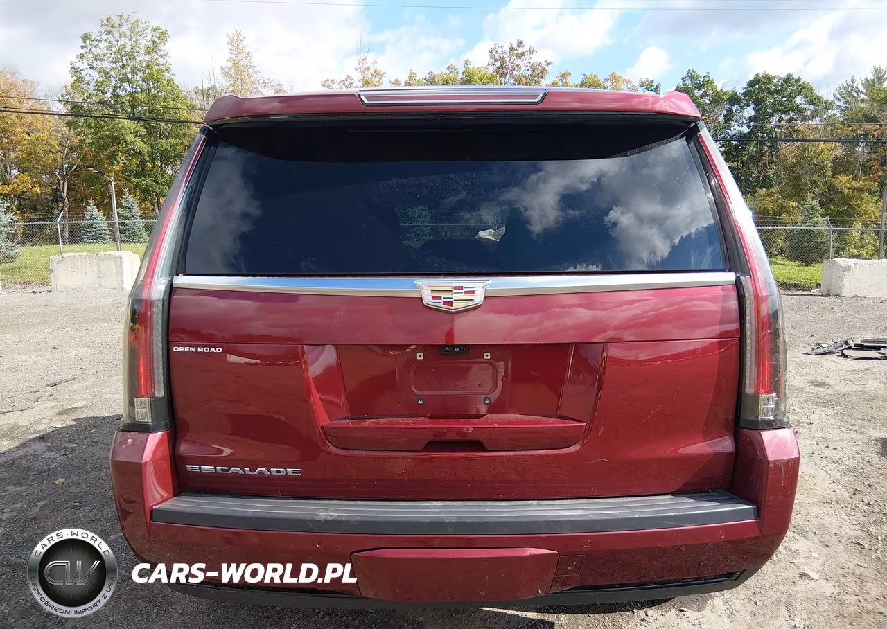 2017 Cadillac Escalade Luxury VIN:1GYS4BKJ7HR363699 - 17