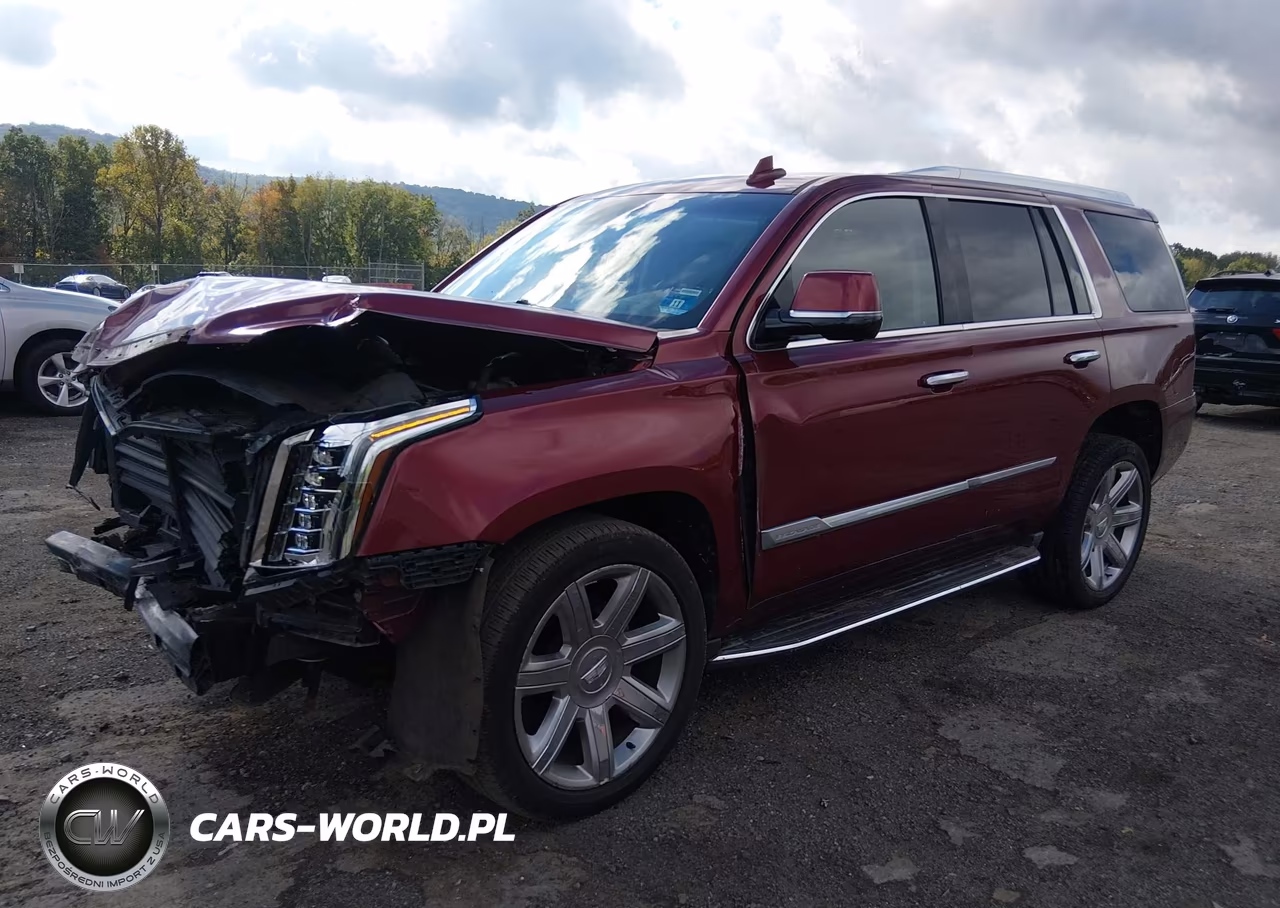 2017 Cadillac Escalade Luxury VIN:1GYS4BKJ7HR363699 - 2