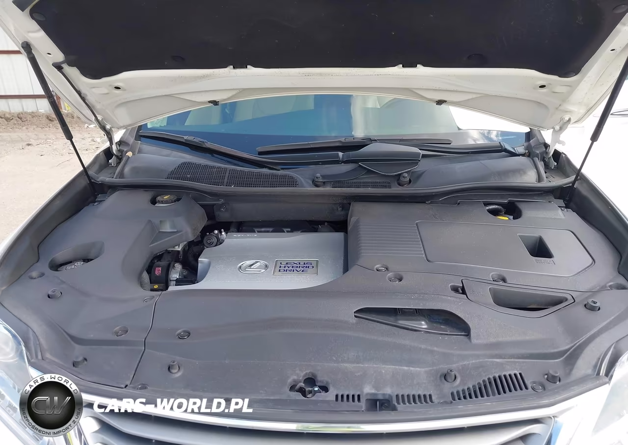 2013 Lexus Rx 450H VIN:JTJZB1BA3D2008419 - 10