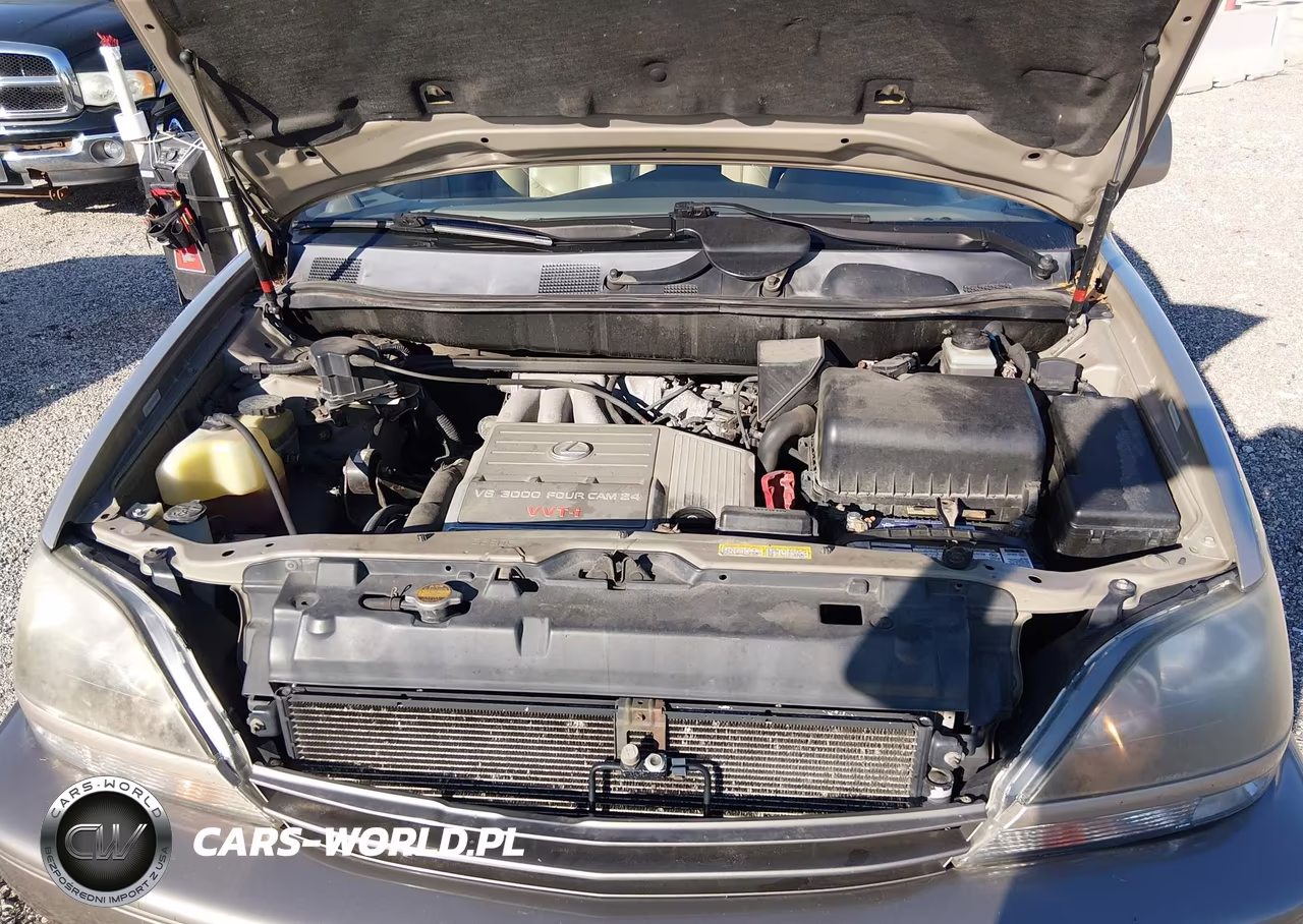 1999 Lexus Rx 300 VIN:JT6HF10UXX0021031 - 10