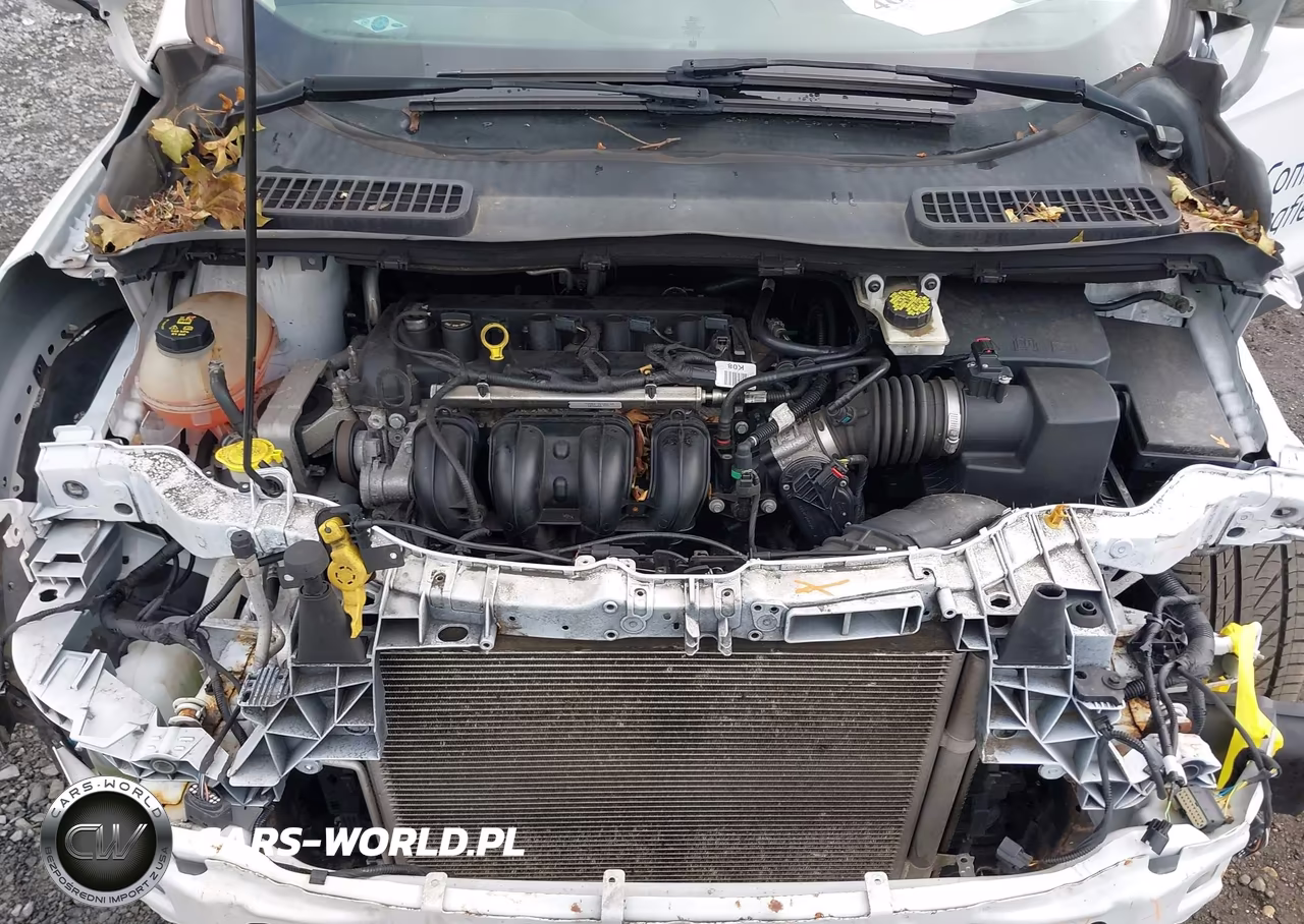 2019 Ford Escape S VIN:1FMCU0F71KUA47812 - 10