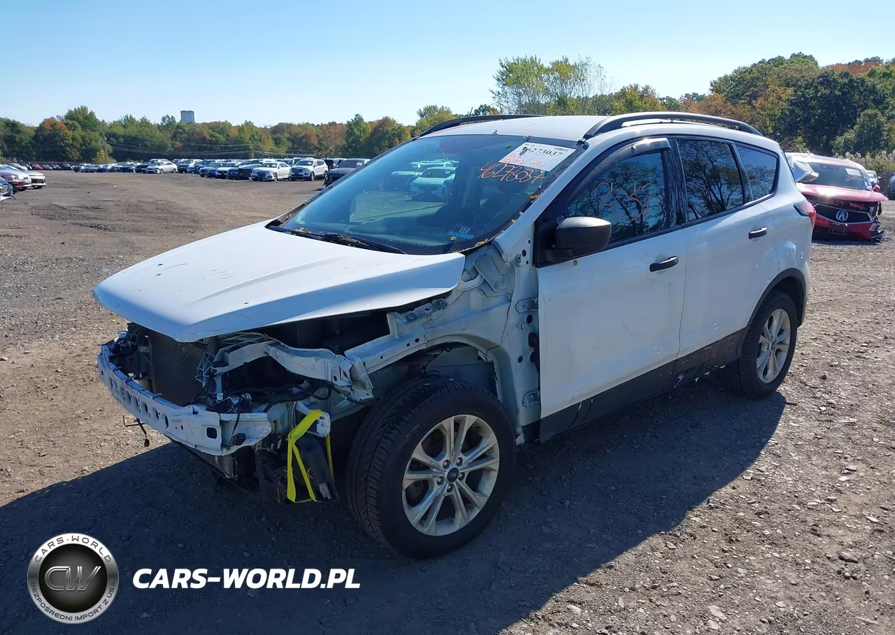 2019 Ford Escape S VIN:1FMCU0F71KUA47812 - 2