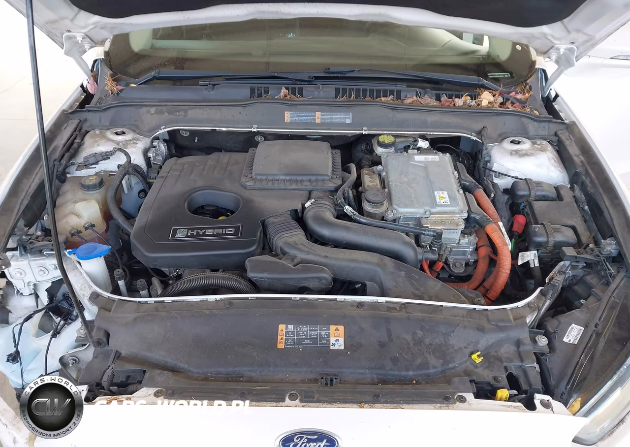 2016 Ford Fusion Hybrid Se VIN:3FA6P0LU4GR316070 - 10