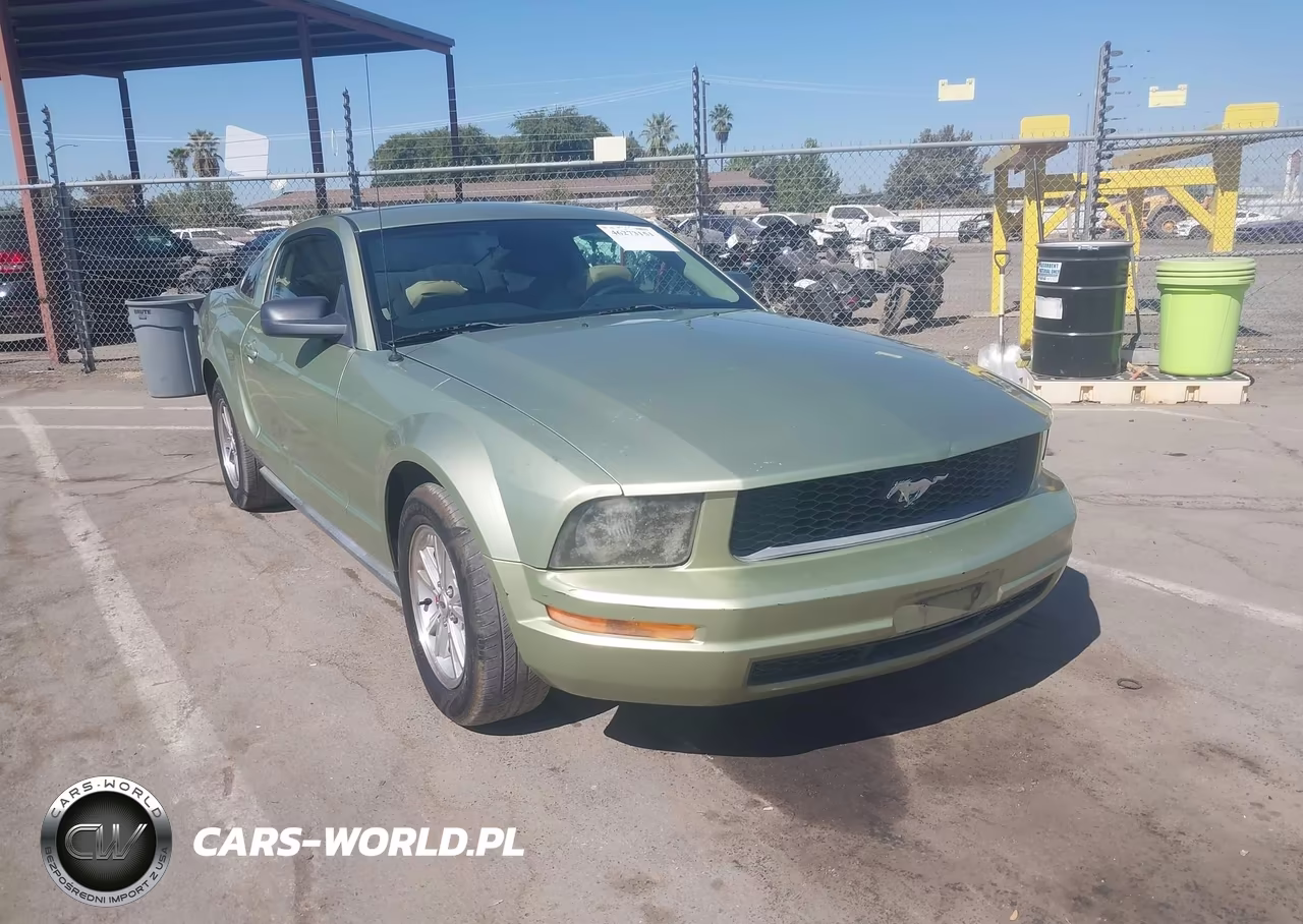 2006 Ford Mustang V6 VIN:1ZVFT80N165158450 - 1