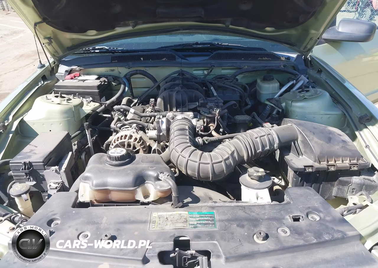 2006 Ford Mustang V6 VIN:1ZVFT80N165158450 - 10