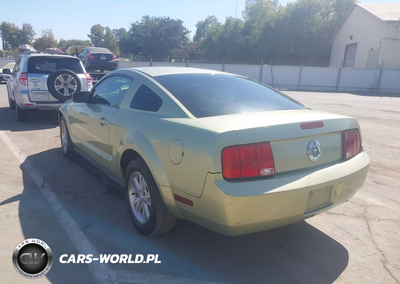 2006 Ford Mustang V6 VIN:1ZVFT80N165158450 - 3