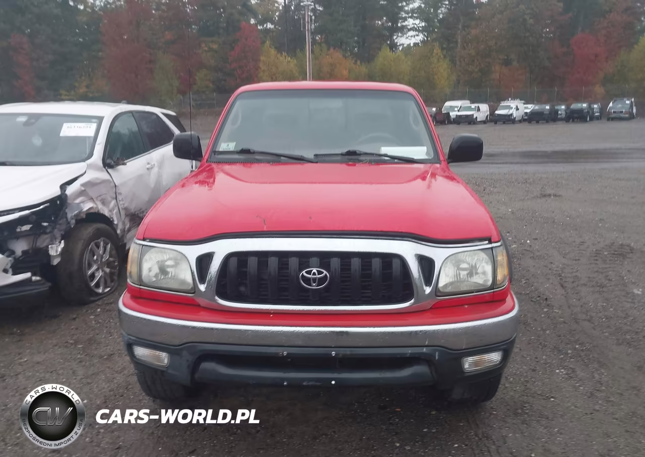 2004 Toyota Tacoma Base V6 VIN:5TEWN72N84Z380661 - 12
