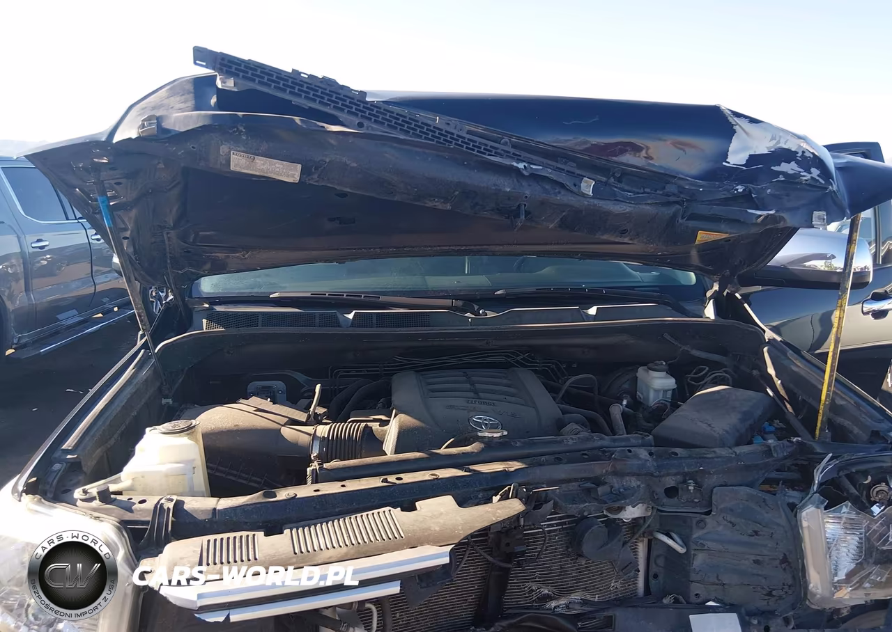 2016 Toyota Tundra Limited 5.7L V8 VIN:5TFHW5F15GX493738 - 10