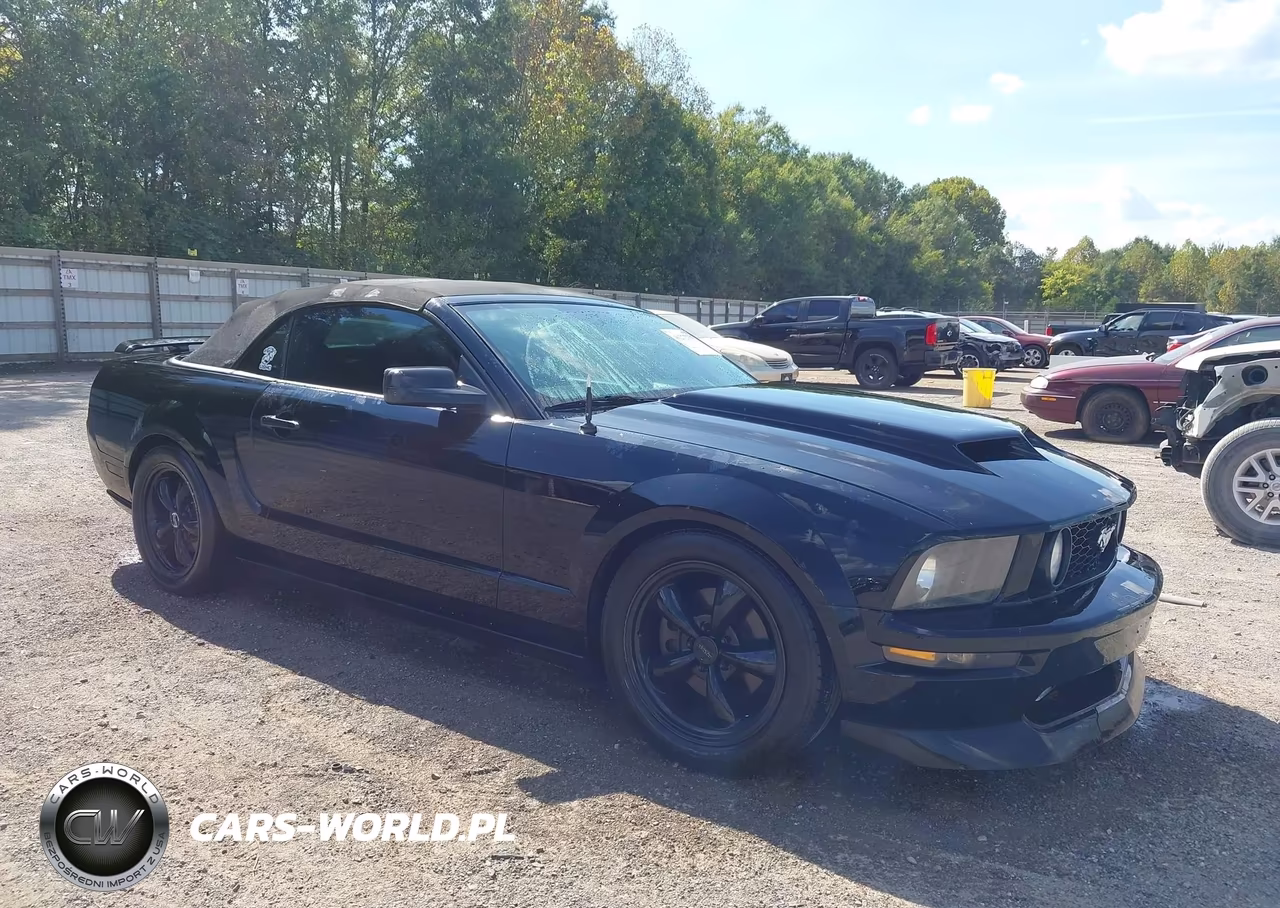 2007 Ford Mustang Gt Deluxe-Gt Premium VIN:1ZVHT85H575255034 - 1
