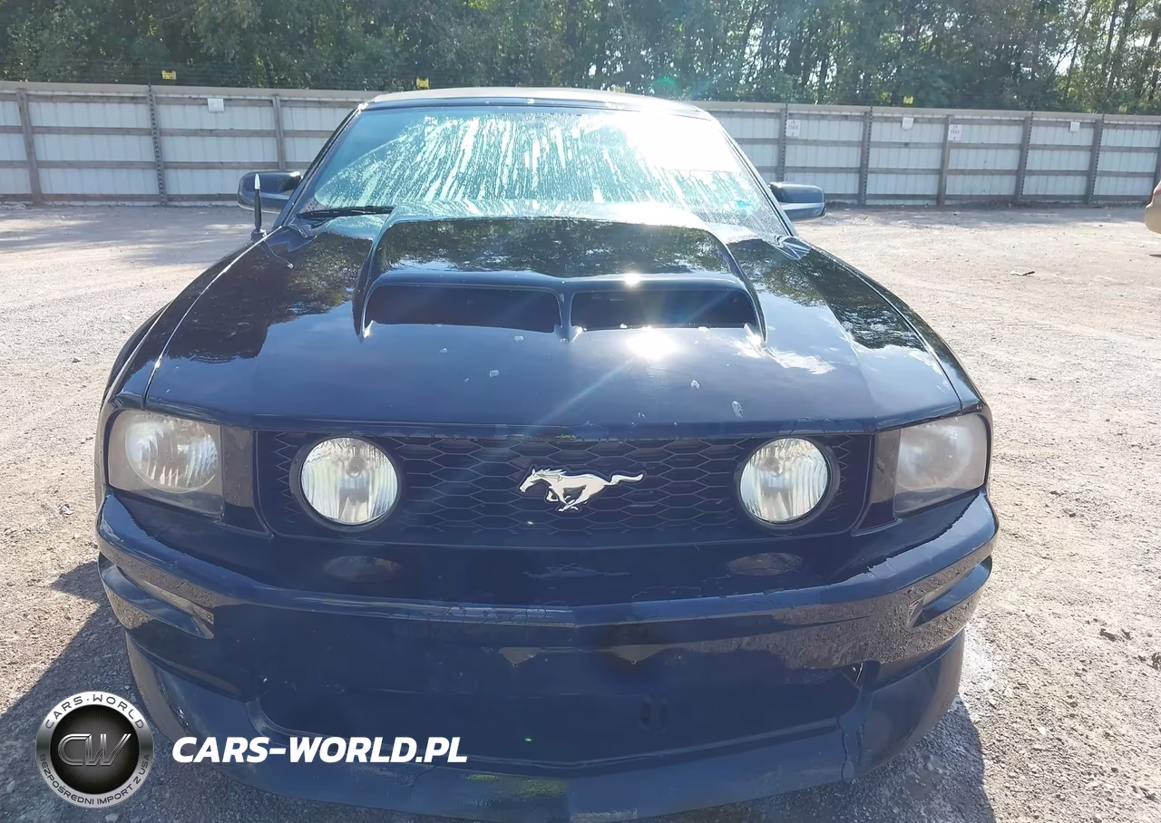 2007 Ford Mustang Gt Deluxe-Gt Premium VIN:1ZVHT85H575255034 - 12