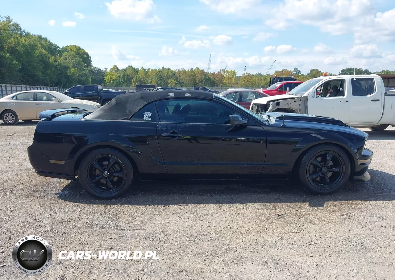 2007 Ford Mustang Gt Deluxe-Gt Premium VIN:1ZVHT85H575255034 - 13
