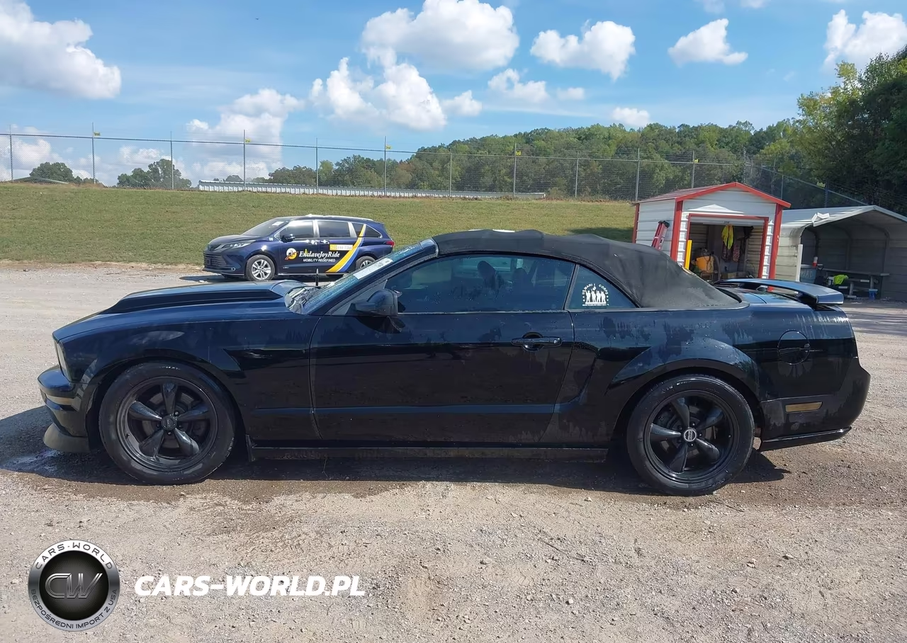 2007 Ford Mustang Gt Deluxe-Gt Premium VIN:1ZVHT85H575255034 - 14