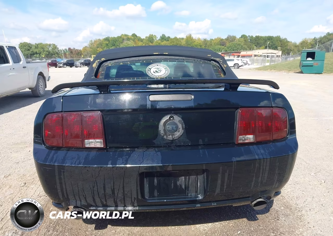 2007 Ford Mustang Gt Deluxe-Gt Premium VIN:1ZVHT85H575255034 - 16