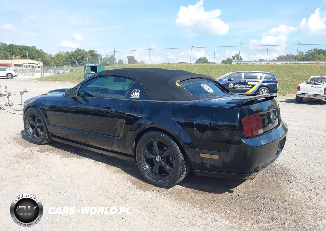 2007 Ford Mustang Gt Deluxe-Gt Premium VIN:1ZVHT85H575255034 - 3