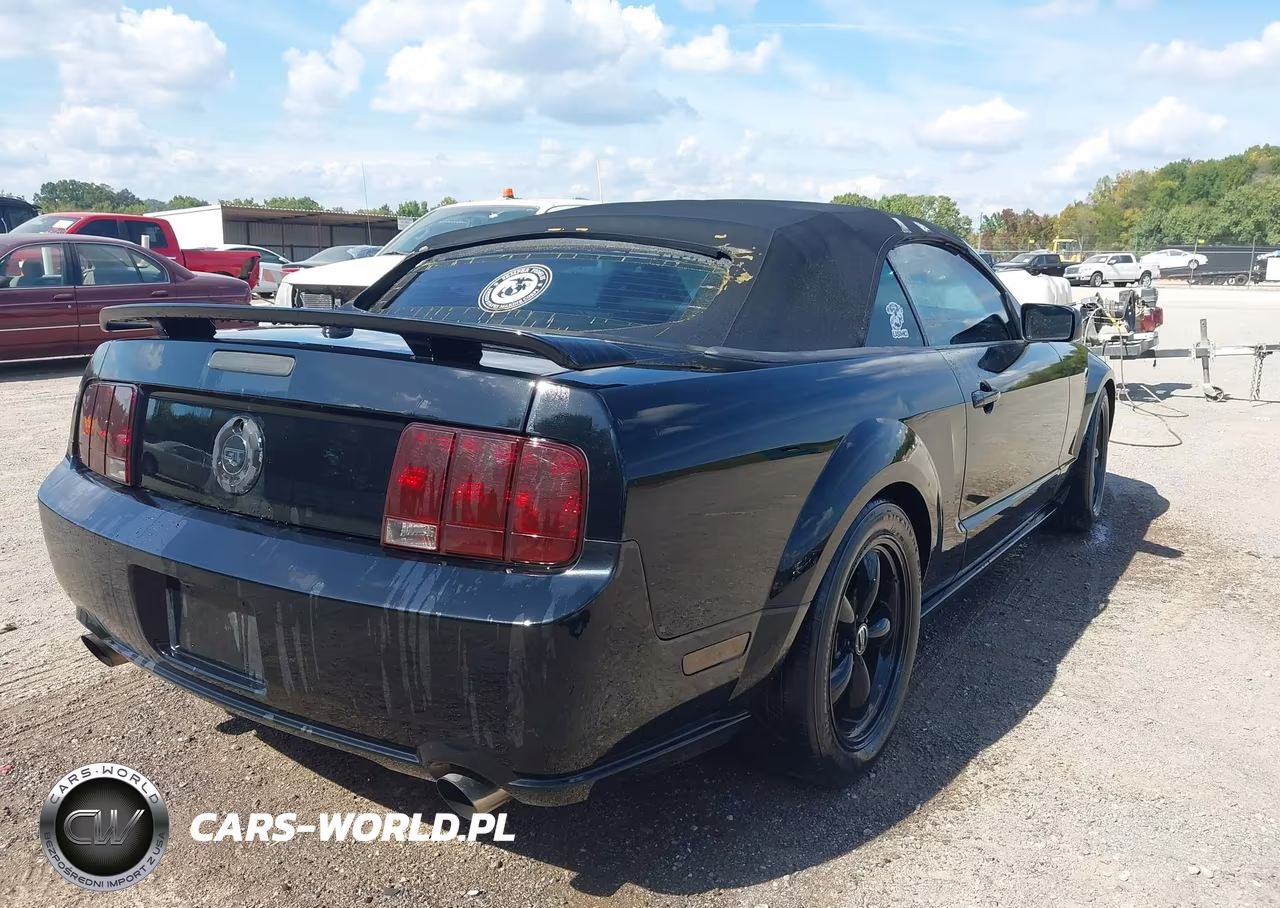 2007 Ford Mustang Gt Deluxe-Gt Premium VIN:1ZVHT85H575255034 - 4