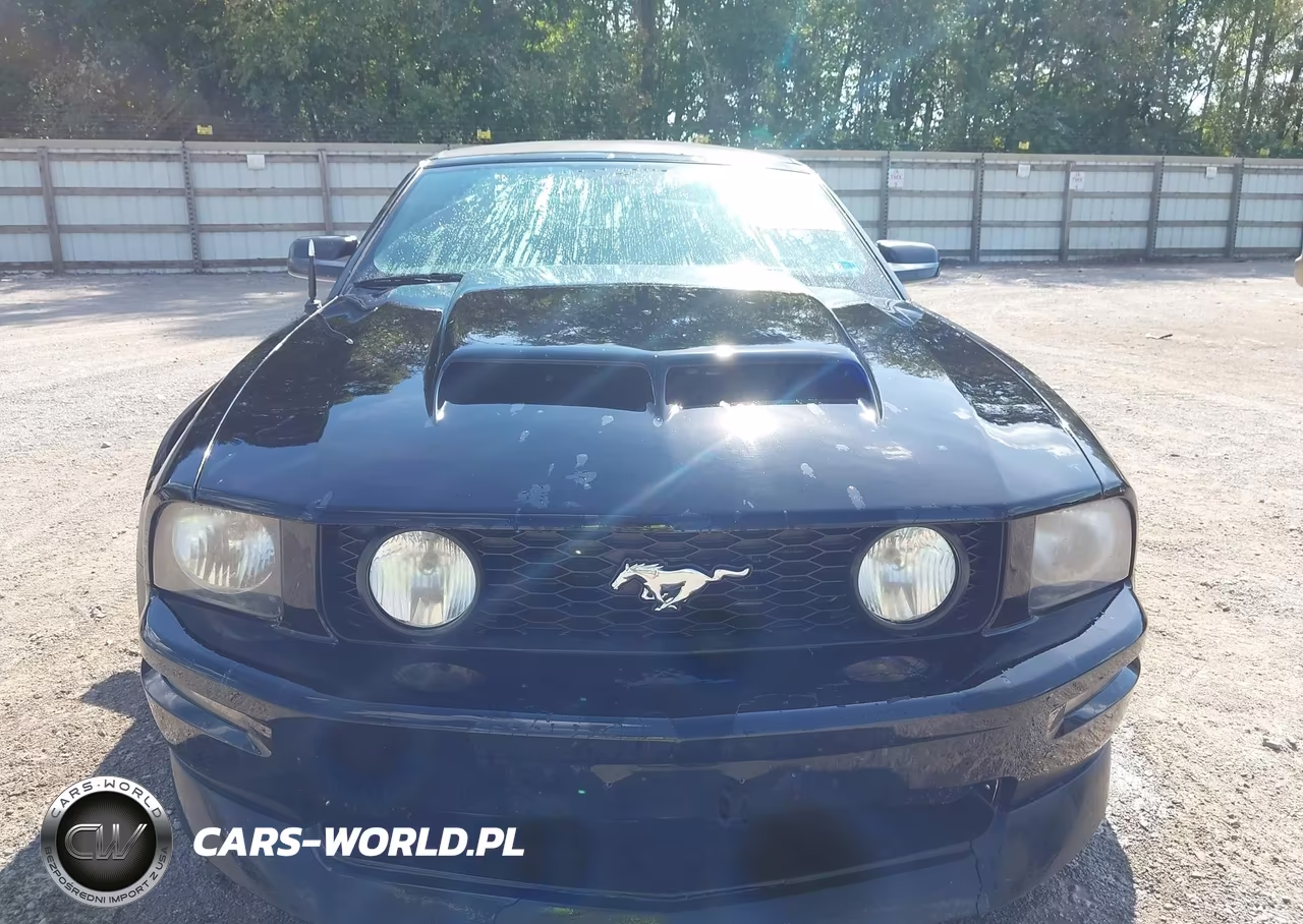 2007 Ford Mustang Gt Deluxe-Gt Premium VIN:1ZVHT85H575255034 - 6