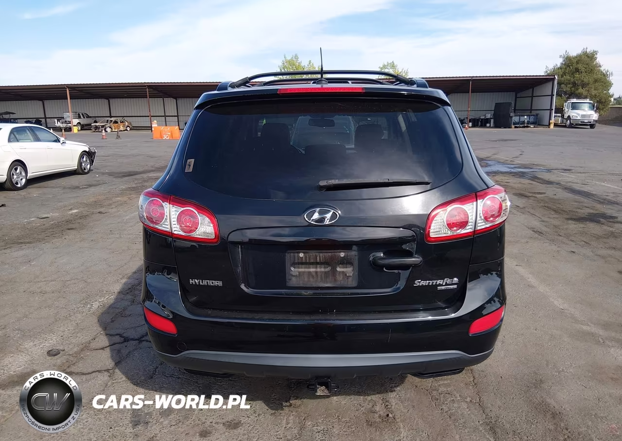 2010 Hyundai Santa Fe Se VIN:5NMSHDAG8AH407246 - 17