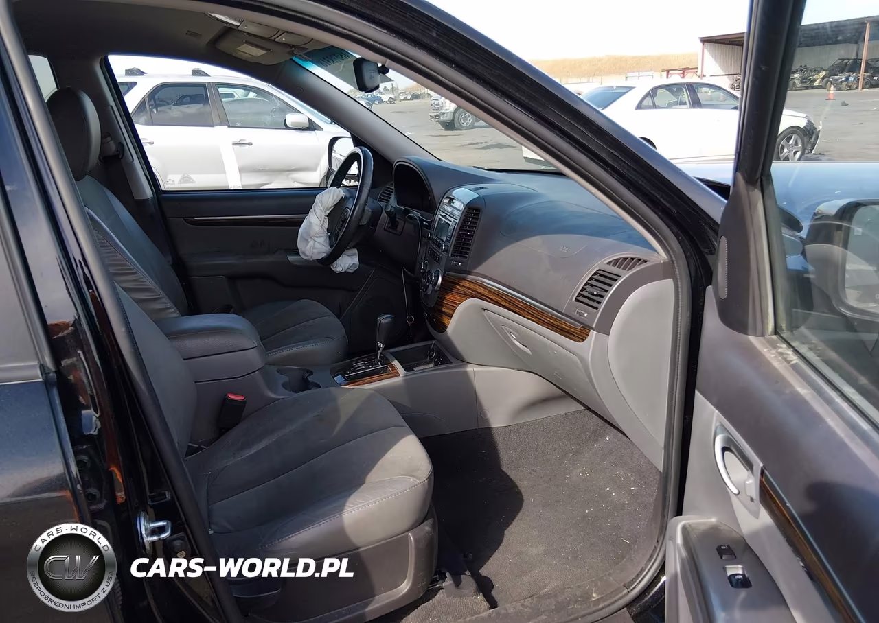 2010 Hyundai Santa Fe Se VIN:5NMSHDAG8AH407246 - 5
