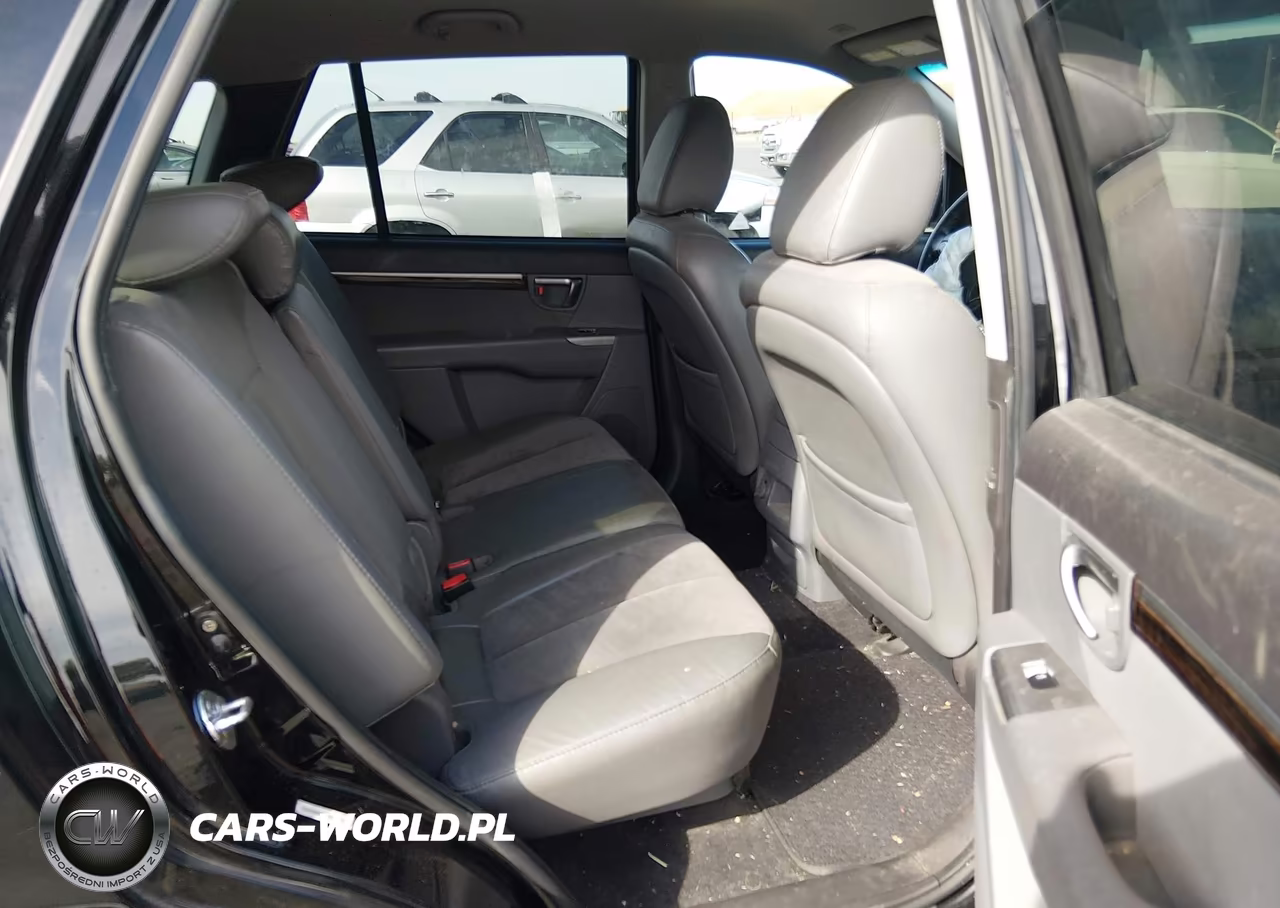 2010 Hyundai Santa Fe Se VIN:5NMSHDAG8AH407246 - 8