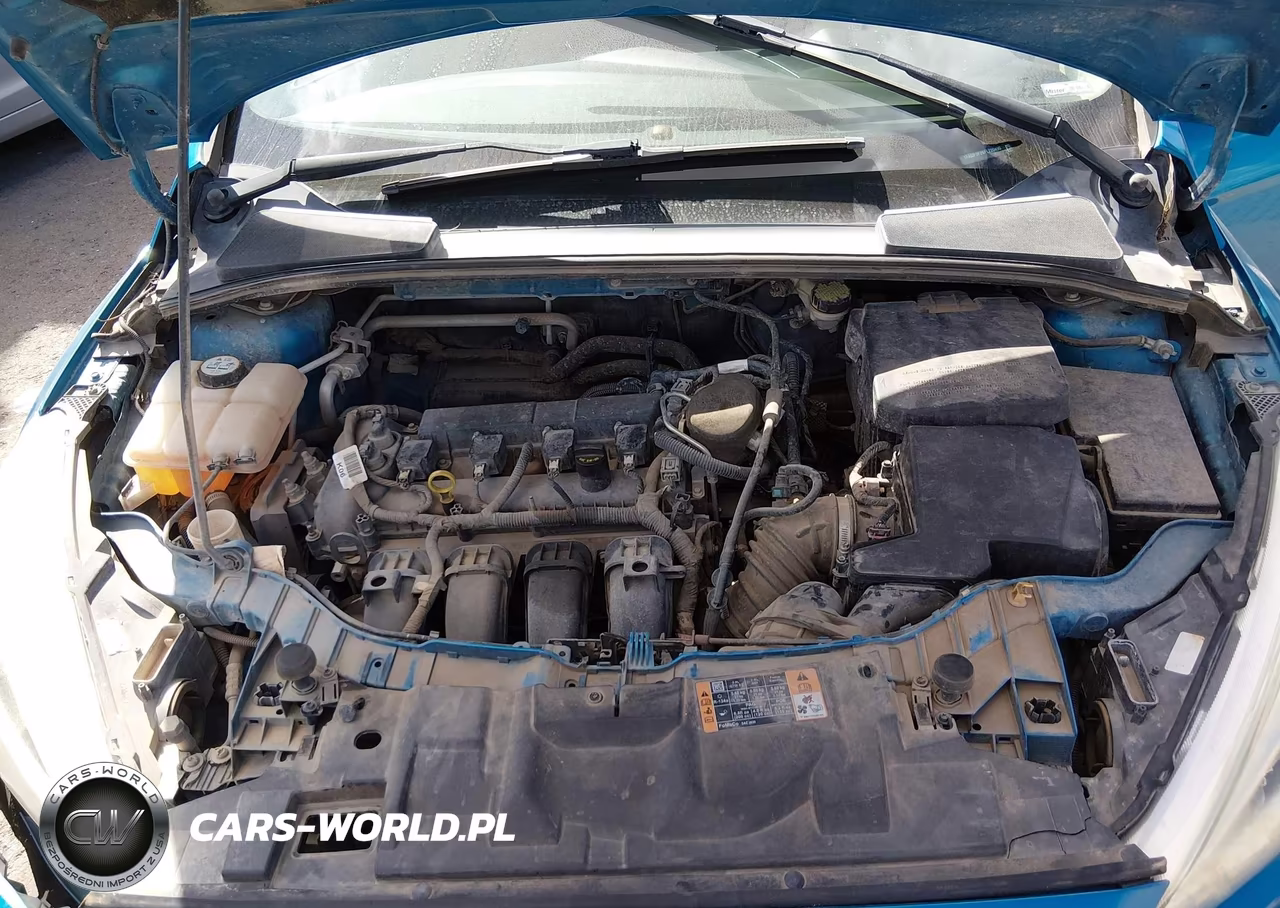 2015 Ford Focus Se VIN:1FADP3F26FL220490 - 10