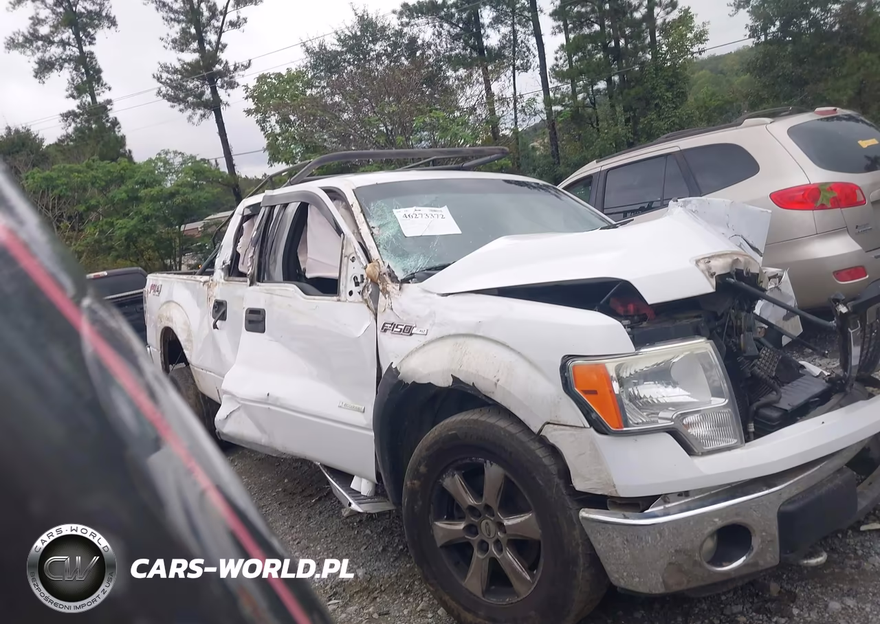 2014 Ford F-150 Xlt VIN:1FTFW1ET5EKG10814 - 12