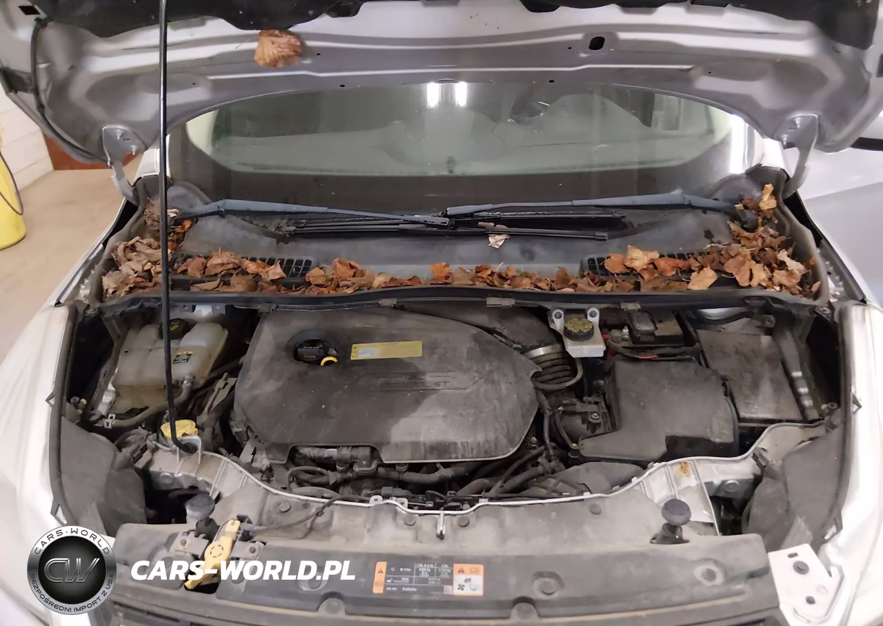 2013 Ford Escape Se VIN:1FMCU0GXXDUD03902 - 10