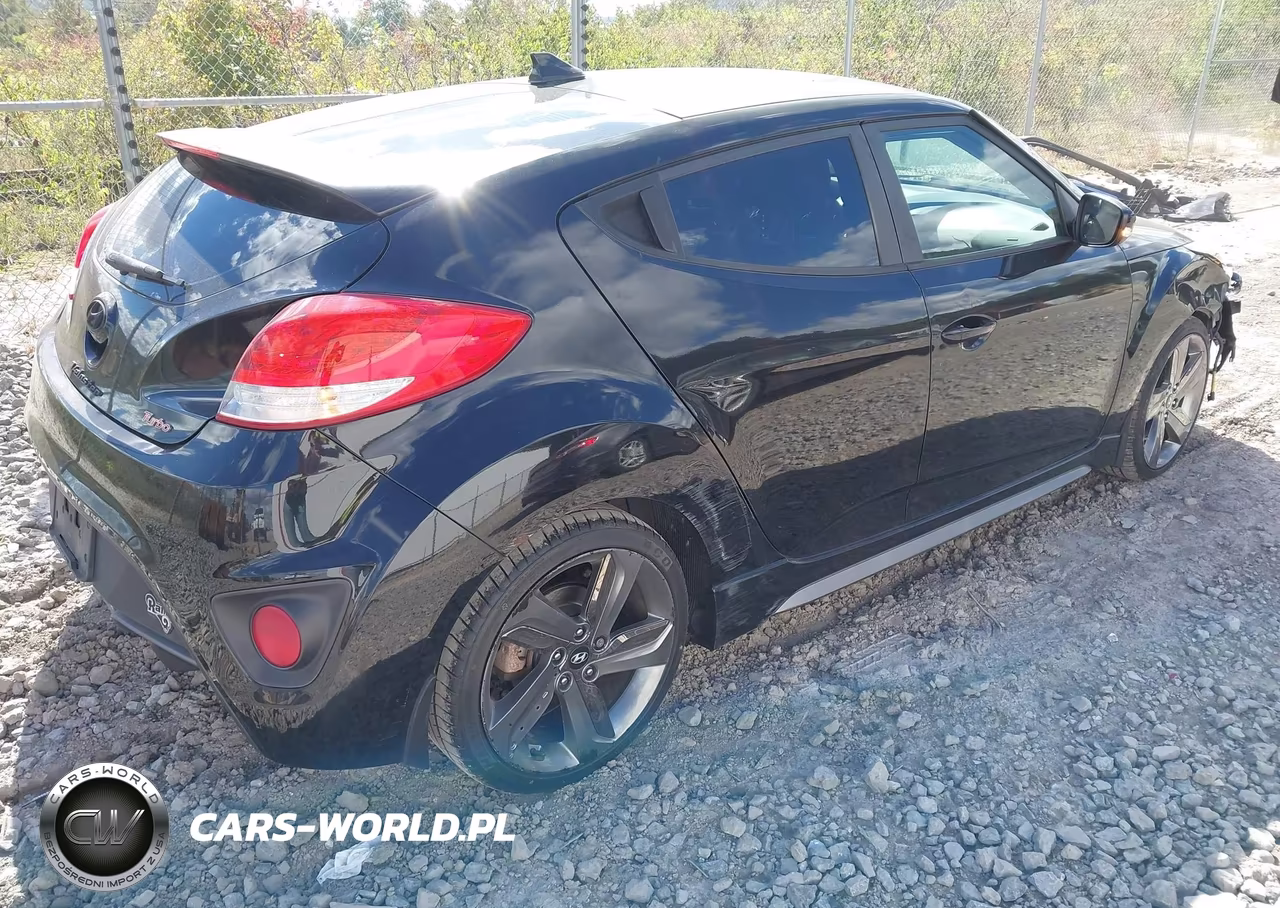 2015 Hyundai Veloster Turbo VIN:KMHTC6AE6FU226784 - 4