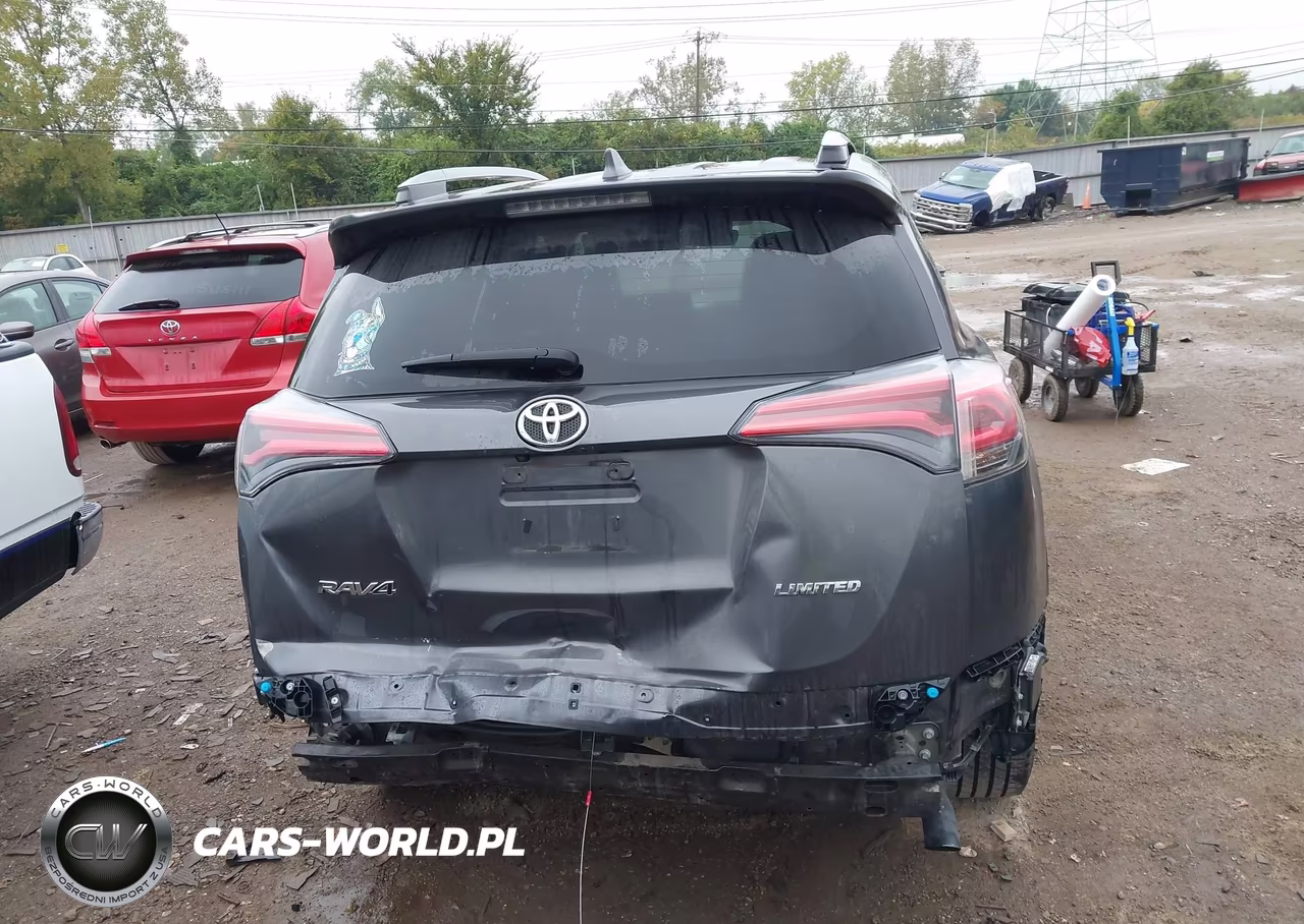 2017 Toyota Rav4 Limited VIN:2T3YFREVXHW377310 - 17