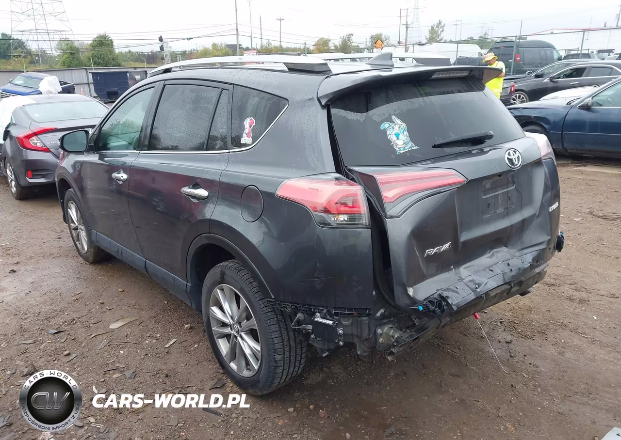 2017 Toyota Rav4 Limited VIN:2T3YFREVXHW377310 - 3