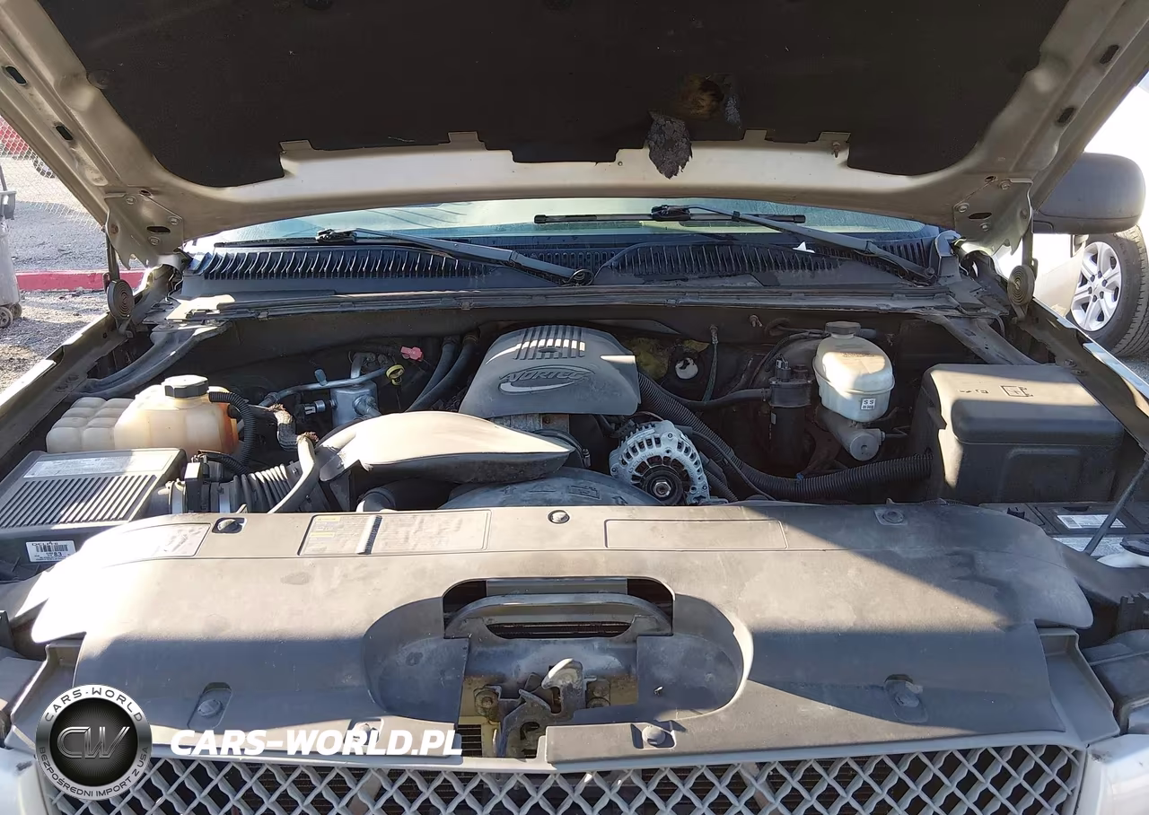 2004 Chevrolet Silverado 1500 Ls VIN:2GCEC13T341396105 - 10