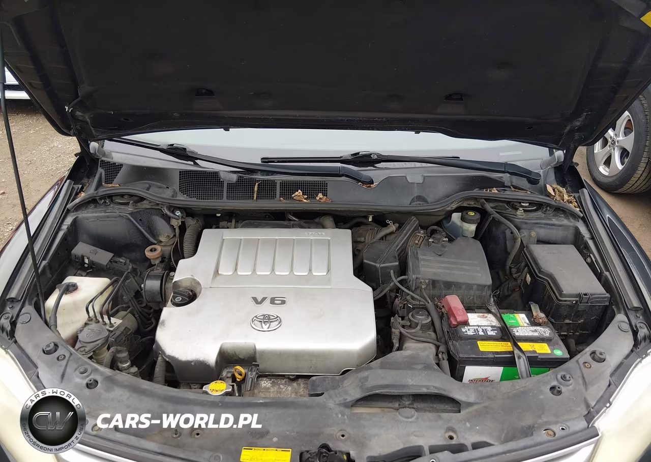 2010 Toyota Venza Base V6 VIN:4T3BK3BB3AU043277 - 10