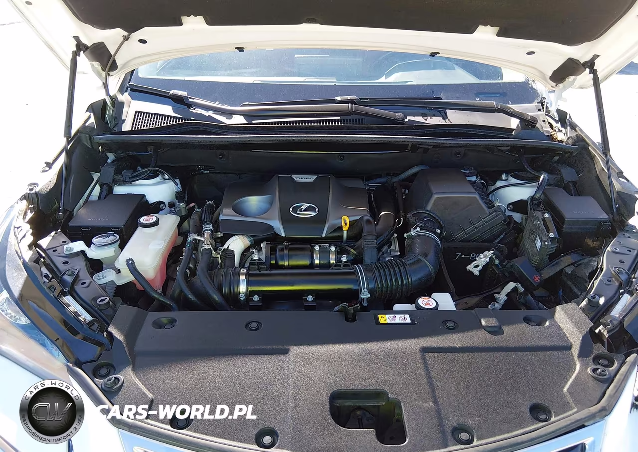 2021 Lexus Nx 300 Base VIN:JTJDARBZ5M5022158 - 10