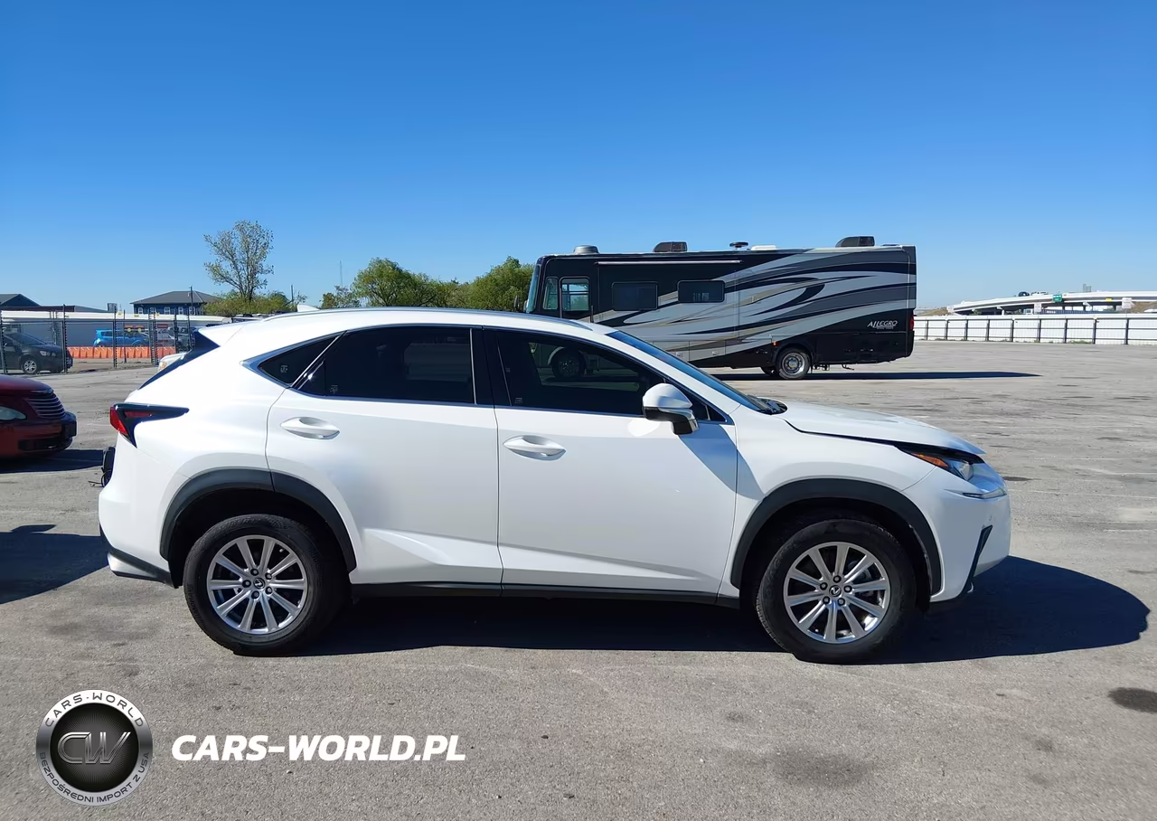2021 Lexus Nx 300 Base VIN:JTJDARBZ5M5022158 - 13