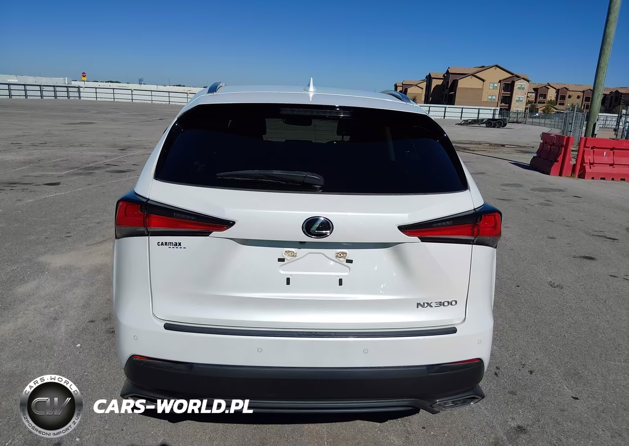 2021 Lexus Nx 300 Base VIN:JTJDARBZ5M5022158 - 16
