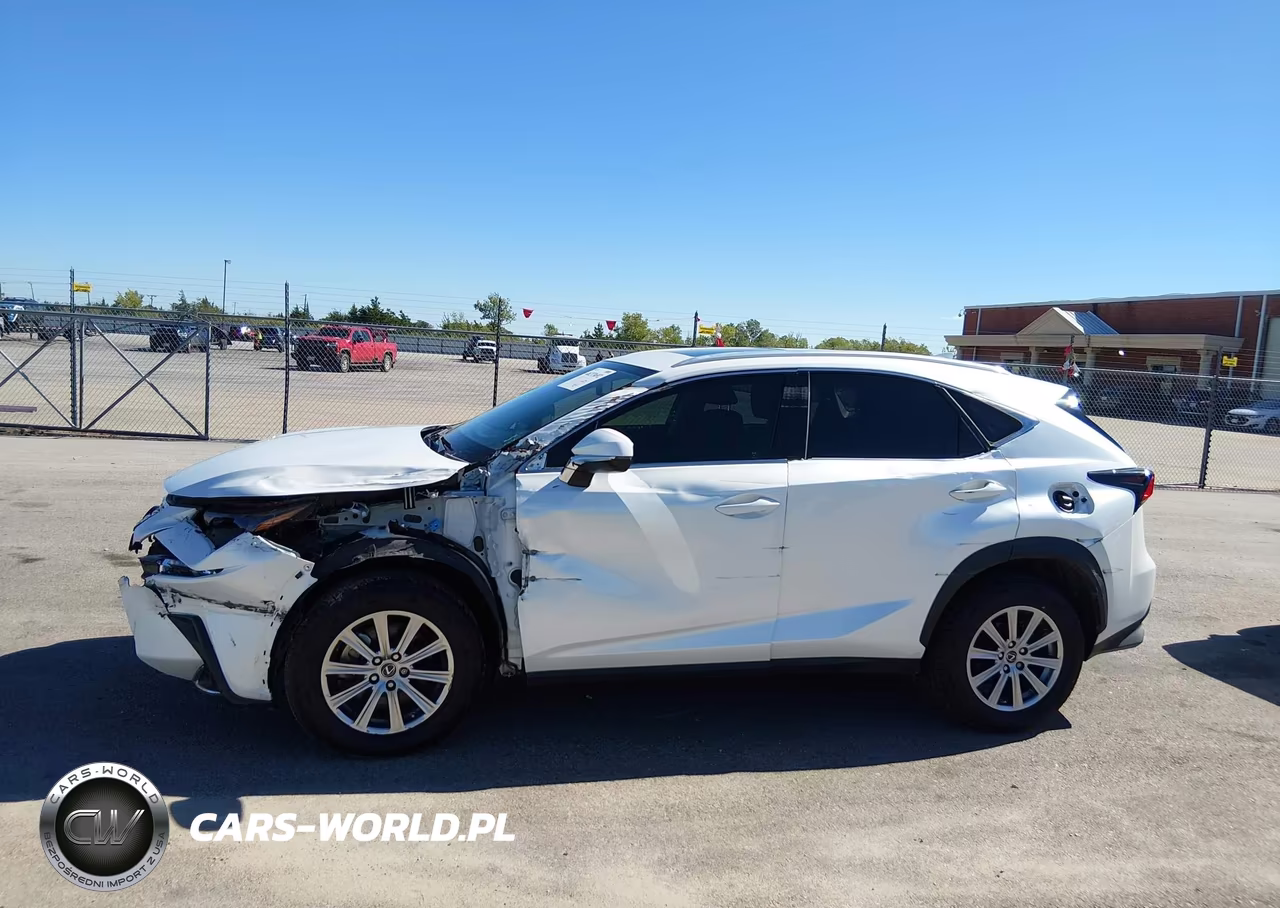 2021 Lexus Nx 300 Base VIN:JTJDARBZ5M5022158 - 18