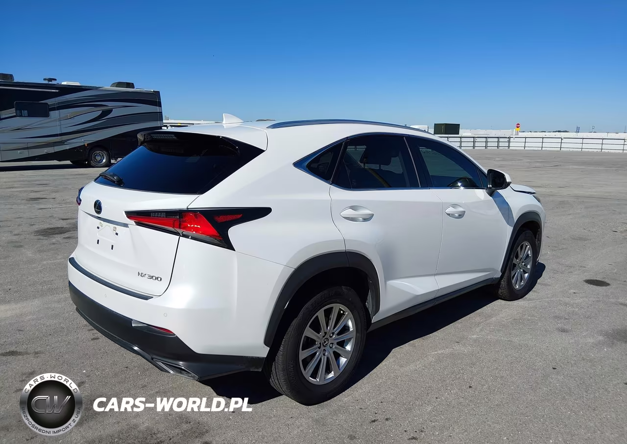 2021 Lexus Nx 300 Base VIN:JTJDARBZ5M5022158 - 4