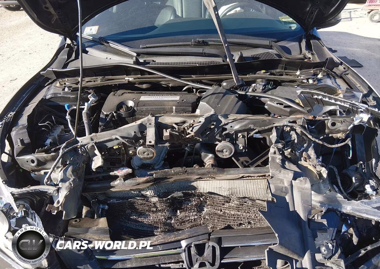 2013 Honda Accord Ex-L VIN:1HGCR2F84DA130392 - 10