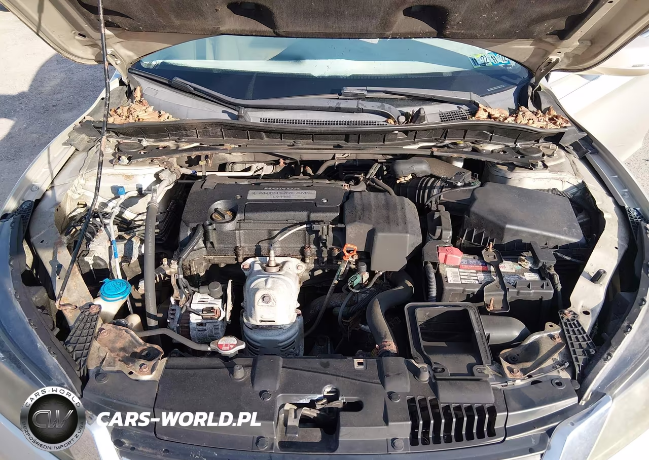 2013 Honda Accord Ex-L VIN:1HGCR2F88DA021904 - 10