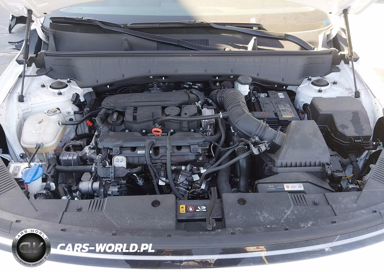 2024 Hyundai Kona Limited VIN:KM8HECA31RU111320 - 10