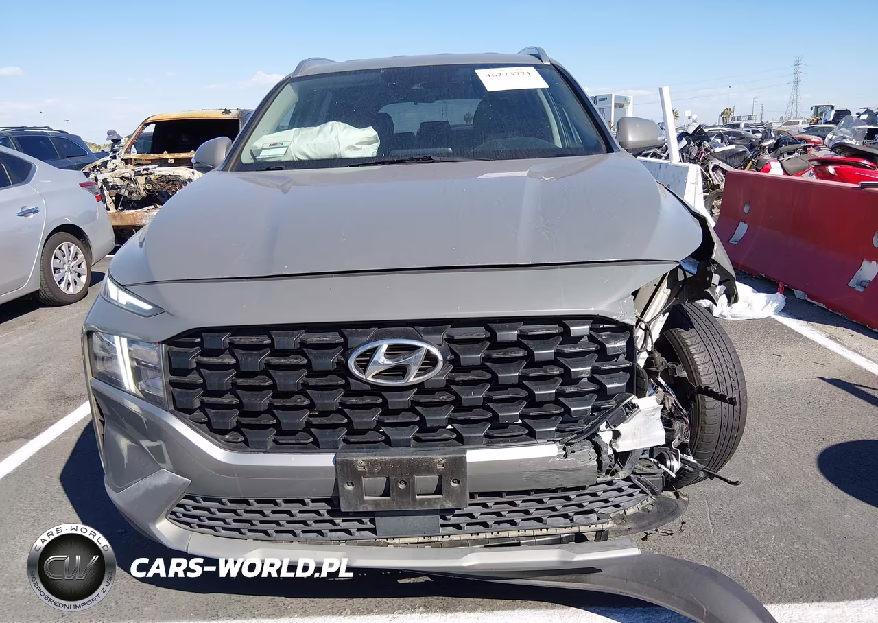 2023 Hyundai Santa Fe Sel VIN:5NMS2DAJ5PH539466 - 12