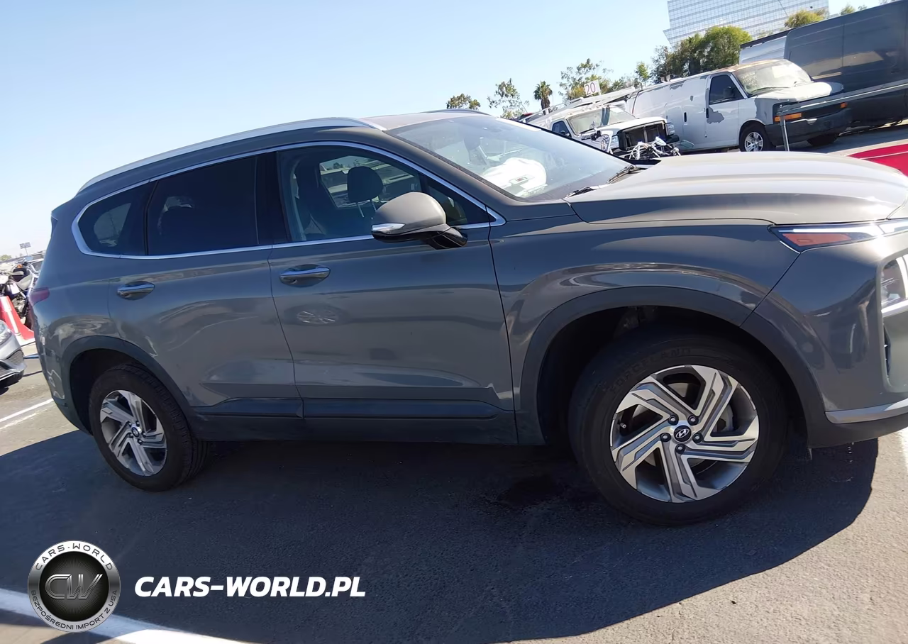 2023 Hyundai Santa Fe Sel VIN:5NMS2DAJ5PH539466 - 13