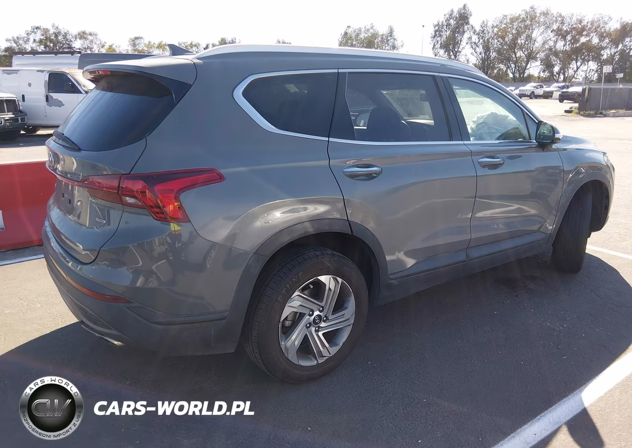 2023 Hyundai Santa Fe Sel VIN:5NMS2DAJ5PH539466 - 4