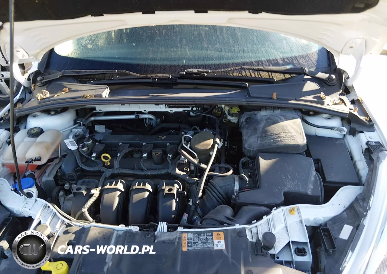 2015 Ford Focus Se VIN:1FADP3F2XFL363376 - 10